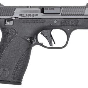 SMITH AND WESSON BODYGUARD 2.0 CC 380 10+1 TS