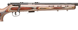 SAV 93BRJ 22WMR