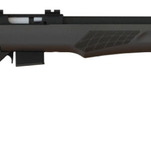Rossi RB17H2111 RB17 Full Size 17 HMR 5+1, 21" Matte Black Button Rifled Free Floating Steel Barrel, Matte Black Stainless Steel Receiver, Black Fixed Monte Carlo Stock, Right Hand