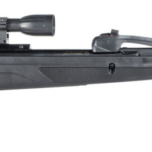 Gamo 611006875554 Swarm Whisper Gas Piston 22 Pellet 10rd Black Fluted/Rifled Barrel, Black Receiver Fixed All Weather Stock Scope 4x32mm