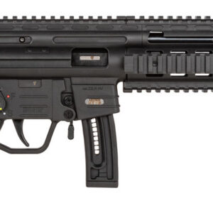 GSG GSGGERGGSG1610 GSG-16 *CA Compliant Full Size 22 LR 10+1 16.25" Black Black Polymer Receiver Black Collapsible w/Storage Compartment Stock Right Hand