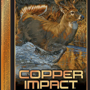 Winchester Ammo X300SCLF Copper Impact 300WSM 150gr Copper Extreme Point Lead Free 20 Per Box/10 Case