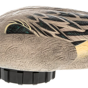 Avian X AVXPSHPNSF Power Shaker Pintail Surface Feeder Duck Decoy Multi-Color