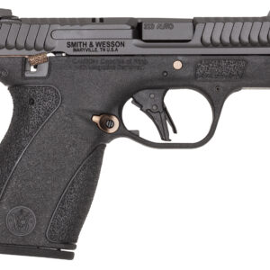 S&W BODYGRD 2.0 14660 380 TS RGPVD
