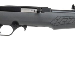 Rossi RS22L1811G RS22 22 LR 10+1 18" Black Matte Barrel, Black Aluminum 3/8" Dovetail Receiver, Fixed Gray Synthetic Stock