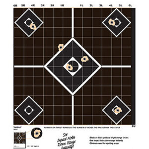 Champion Targets 45804 VisiShot 5-Diamond Paper Hanging Pistol/Rifle 13" x 18" Black/White 10 Pack