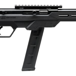 SAVAGE ARMS 64 PRECISION 22LR BL/BK 20+1