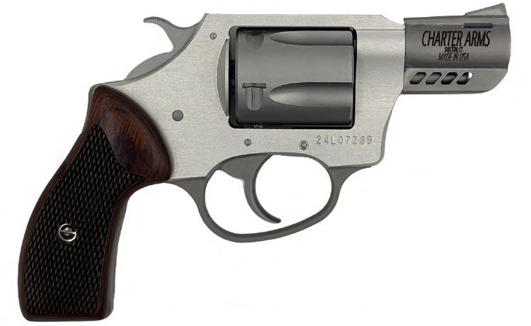 CHARTER ARMS COYOTE .380 ACP 5RD 2IN BARREL 2 MOON CLIPS INCLUDED SILVER 53802