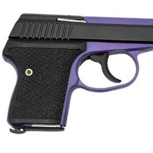 SEECAMP LWS-380 380ACP 2IN BARREL 6RD BRIGHT PURPLE LWS-380-BRPURW