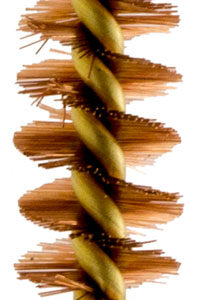 Pro-Shot 375R Bore Brush  .375 Cal Rifle #8-32 Thread Bronze Bristles Brass Core