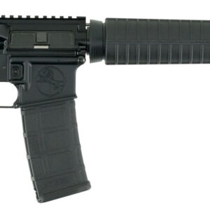 ArmaLite DEF15 M-15 Defensive Sporting Rifle 223 Rem/5.56 NATO 30+1 16" Chrome Moly Vanadium Barrel, Black Hard Coat Anodized Receiver, Black Synthetic 6 Position Collapsible Stock, Black Polymer Grip
