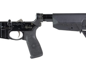 BCM CMPLT LWR RMS SPMD 0 WB BLK BLEM