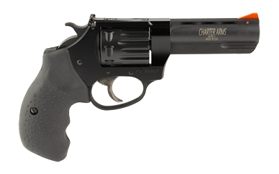 CHARTER ARMS PTHFNDR II 22WMR 8R BLK - Image 2