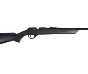 DAISY MODEL 35 MULTI-PUMP BB/.177