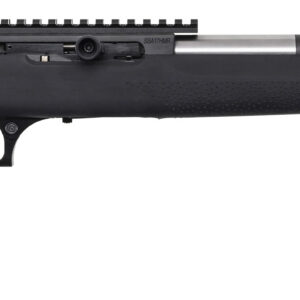 MR STRAIGHT PULL BOLT 17HMR 19 BLK HOGUE