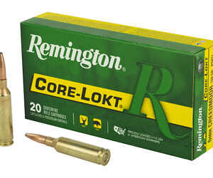 REM 6MM 100GR CM CL 20/200