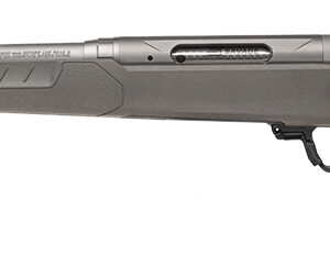 SAV 110 RIDGE HUNTER 300WIN 20 5RD LH