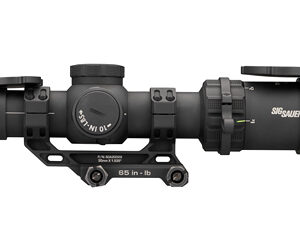SIG TANGO-MSR CMP 1-10X24 SFP BDC10