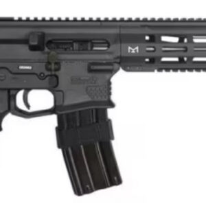 SILVER SHADOW GILBOA DBR SNAKE 5.56 2 X 16