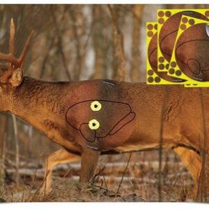 BC 37431 EZSCR WHITETAILDEER2 OVRLY4
