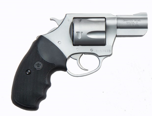 CHARTER ARMS PIT BULL 9MM LARGE 5 SHOT 2.2IN FIXED STANDARD STAINLESS STEEL 79920