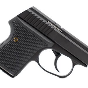 SEECAMP LWS-380 2" 380ACP BLK 6RD