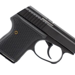 SEECAMP LWS-32 2" 32ACP BLK 6RD