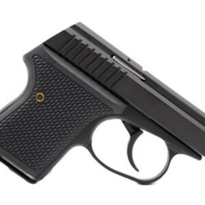 SEECAMP LWS-32 2" 32ACP BLK 6RD CA