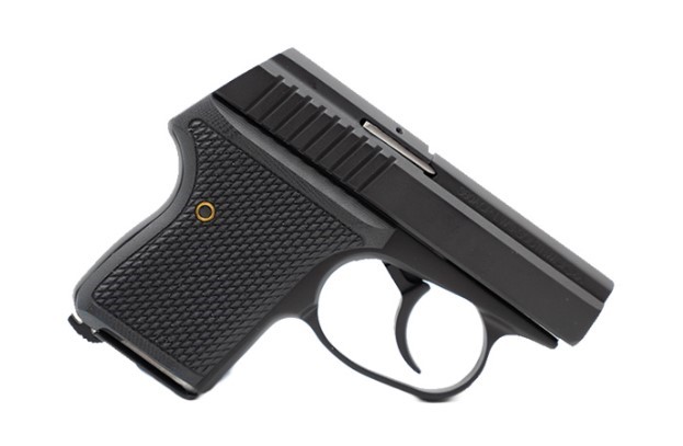 SEECAMP LWS-32 2" 32ACP BLK 6RD CA