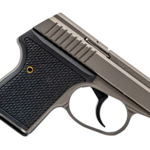 SEECAMP LWS-380 2" 380ACP GMGREY 6