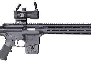 SMITH & WESSON M&P15-22 SPORTII 16.5" 10RD 12723