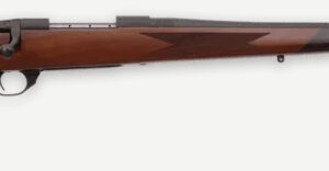 WBY VANGUARD 2 243WIN 22 TB SPORTER