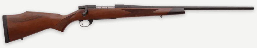 WBY VANGUARD 2 243WIN 22 TB SPORTER