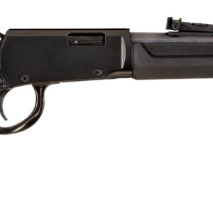 ROSSI RIO BRAVO 22WMR BK/SY 20" #