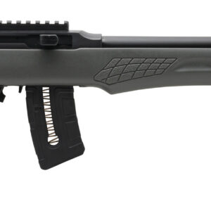 ROSSI RS22 22MAG BLK/GRAY 21" 10+1 #