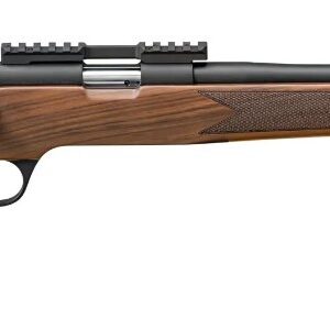 SPR 2020 CL WLNT GD A 22LR
